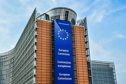 European ethics body